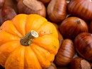 Zucche e castagne protagoniste degli eventi del fine settimana in provincia di Varese Zucche e castagne protagoniste degli eventi del fine settimana in provincia di Varese