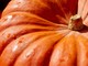 Bel tempo autunnale con giornate miti almeno fino a lunedì Bel tempo autunnale con giornate miti almeno fino a lunedì