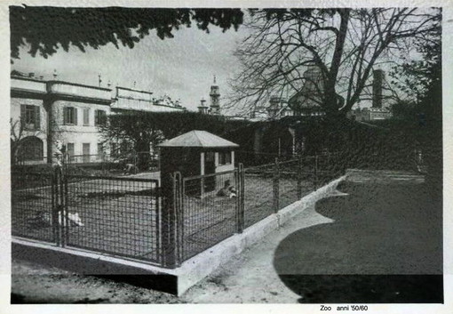 LA VARESE NASCOSTA. Quando ai Giardini Estensi c’era uno zoo
