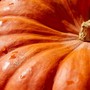 Bel tempo autunnale con giornate miti almeno fino a lunedì Bel tempo autunnale con giornate miti almeno fino a lunedì