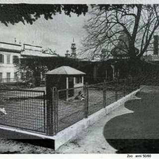 LA VARESE NASCOSTA. Quando ai Giardini Estensi c’era uno zoo